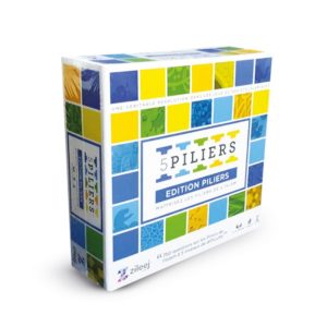 jeu-de-societe-5-piliers-edition-piliers-age-10-version-francaise