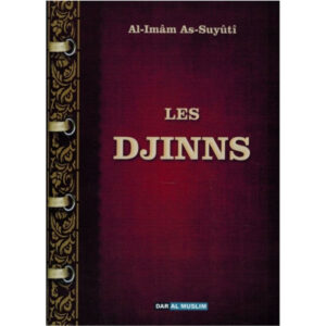 les-djinns-d-après-al-imam-as-suyuti (2)